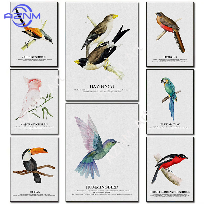 Watercolor Poster Print - Bright Colors Birds Subject Hummingbird Birds