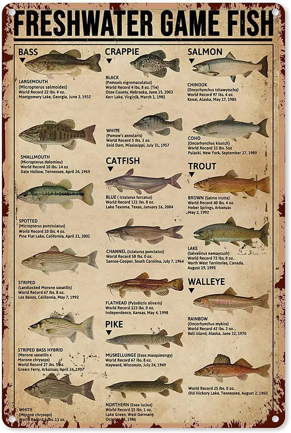 Home Decor Games Free - Fishing Art Posters Metal Sign Freshwater