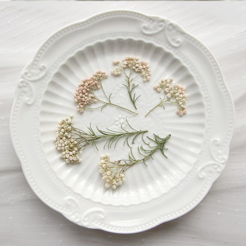 Pressed Flower Frame - 12pcs,Nature Millet flower branches,pressed dried flower