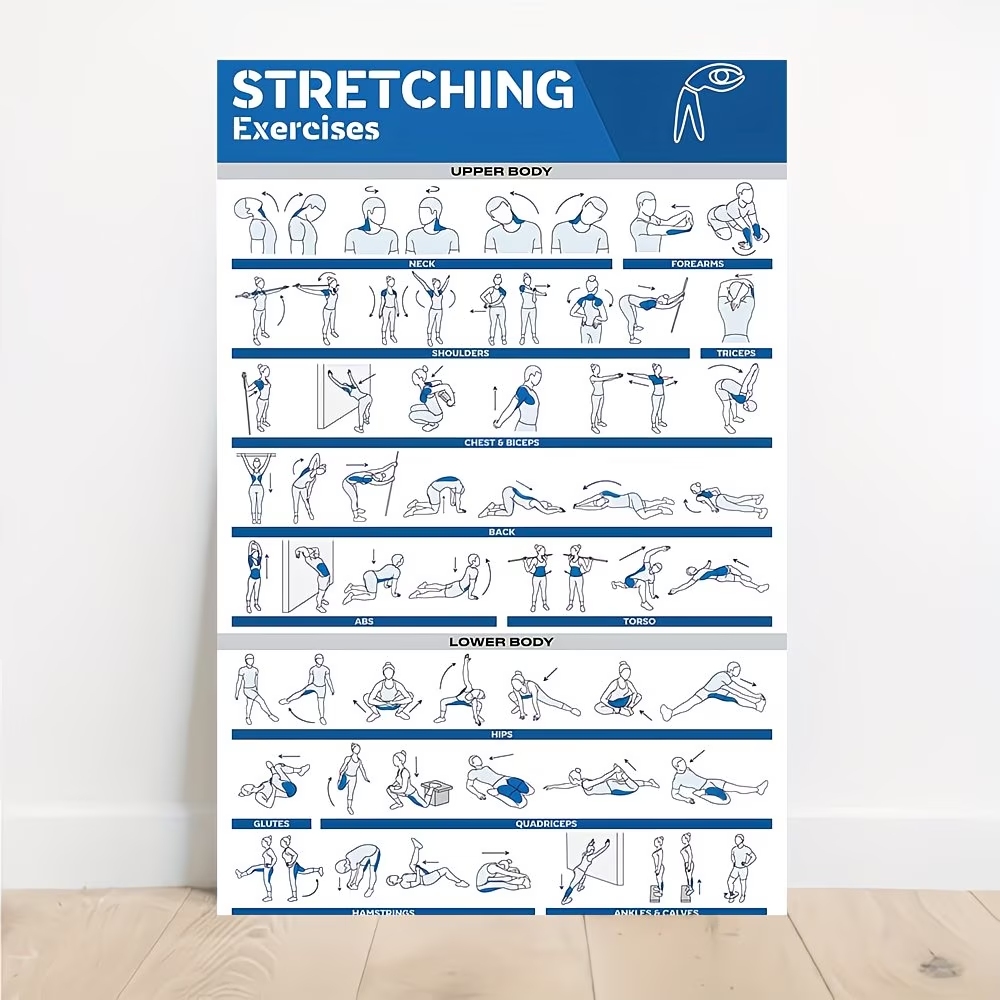 Home Decor Reviews - Modern Labeled Full-Body Stretches For Gym