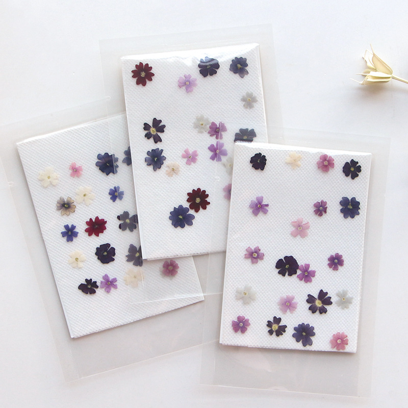 40pcs/lot,Mini Beauty Cherry p - مراجعة Pressed Flower Frame وسعره