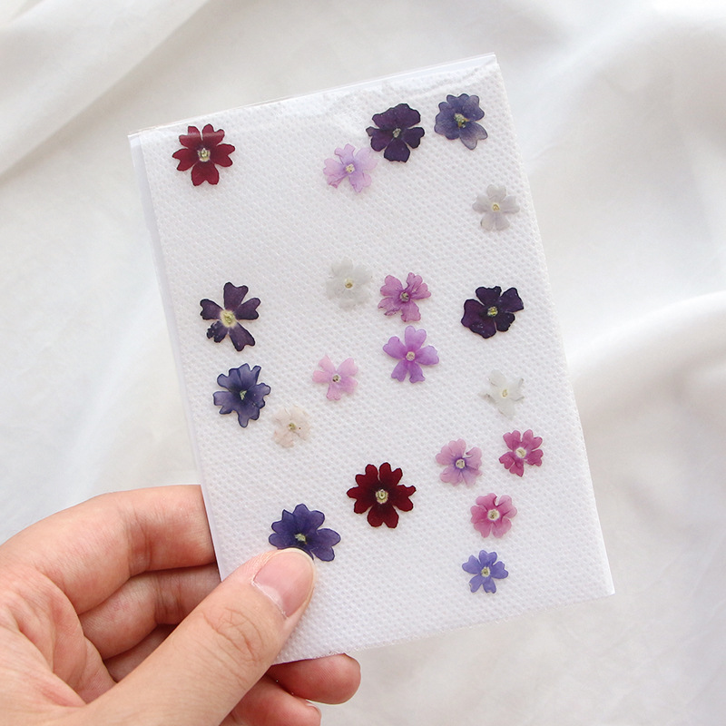 40pcs/lot,Mini Beauty Cherry p - مراجعة Pressed Flower Frame وسعره
