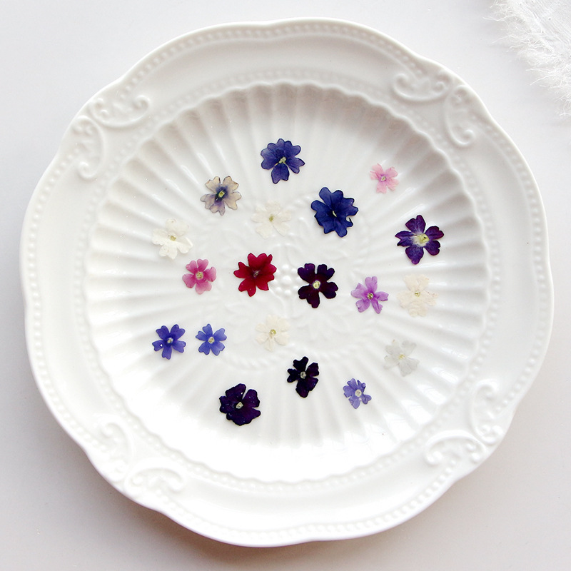 40pcs/lot,Mini Beauty Cherry p - مراجعة Pressed Flower Frame وسعره