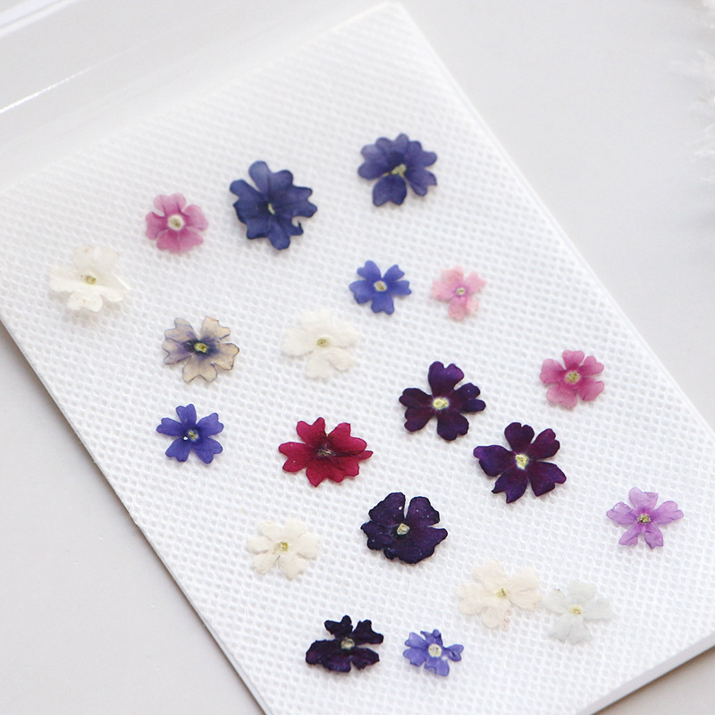 40pcs/lot,Mini Beauty Cherry p - مراجعة Pressed Flower Frame وسعره