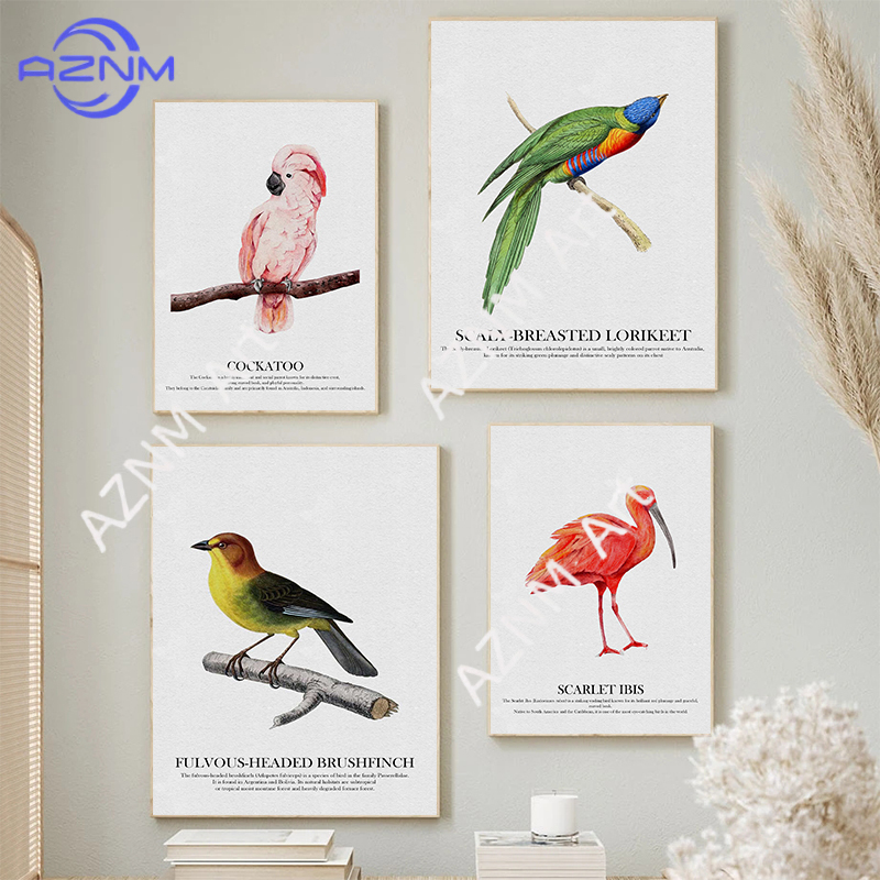 Bright Colors Birds Subject Hu - مراجعة Watercolor Poster Print وسعره