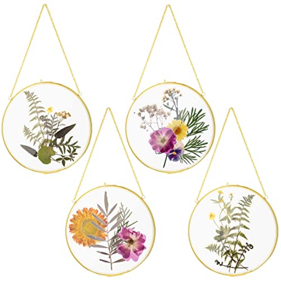 Pcs Double Glass Frame for Pre - مراجعة Pressed Flower Frame وسعره