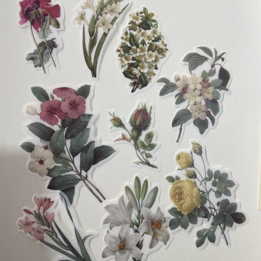 60pc/bag Vintage Flowers Plant - مراجعة Home Decor On Sale وسعره