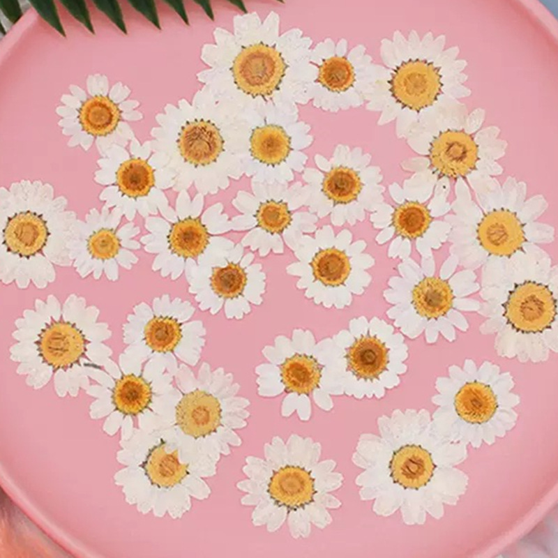 100Pcs Natural White Crystal C - مراجعة Pressed Flower Frame وسعره
