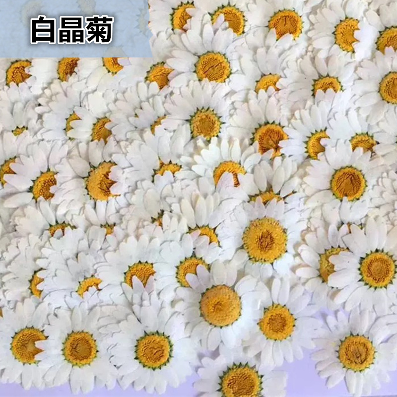 100Pcs Natural White Crystal C - مراجعة Pressed Flower Frame وسعره