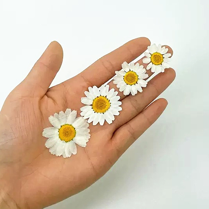 100Pcs Natural White Crystal C - مراجعة Pressed Flower Frame وسعره