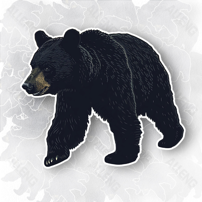 Black Bear Vector Illustration - مراجعة Home Decor Vector وسعره