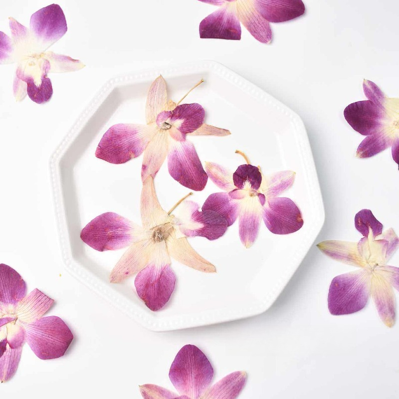 4pcs,Real Pressed Butterfly Or - مراجعة Pressed Flower Frame وسعره