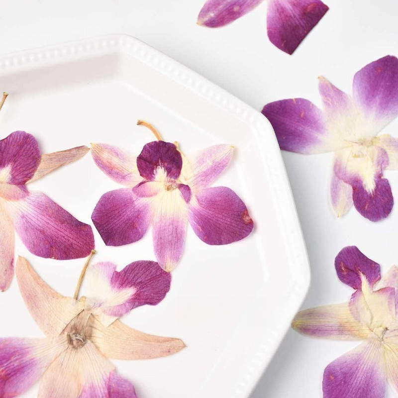 4pcs,Real Pressed Butterfly Or - مراجعة Pressed Flower Frame وسعره
