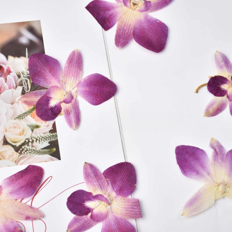 4pcs,Real Pressed Butterfly Or - مراجعة Pressed Flower Frame وسعره