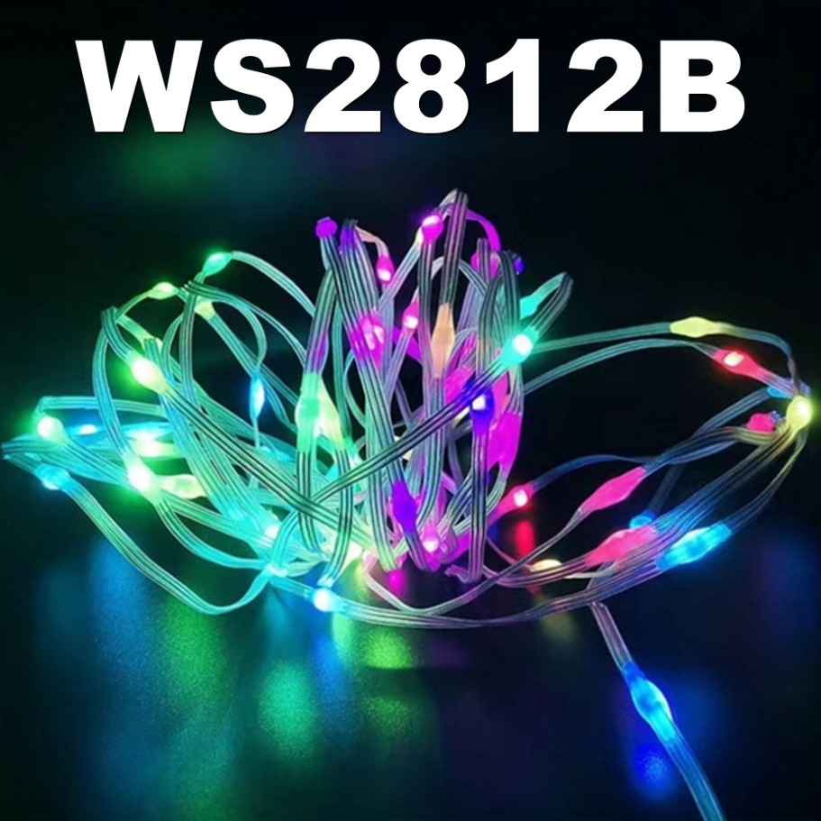 WS2812B LED Light String Smart - مراجعة Home Decor Garland وسعره