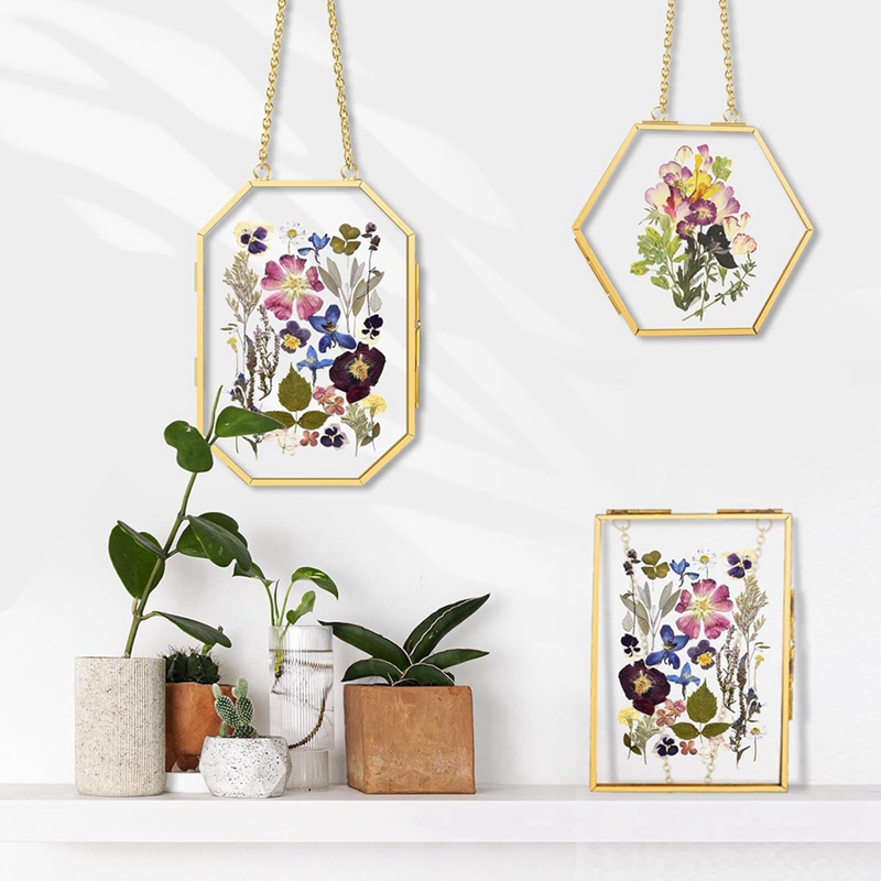 3 Pcs Pressed Flower Frames wi - مراجعة Pressed Flower Frame وسعره