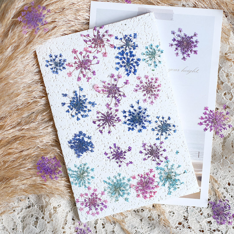 24pcs,2-2.5cm,nature Dyed Mini - مراجعة Pressed Flower Frame وسعره