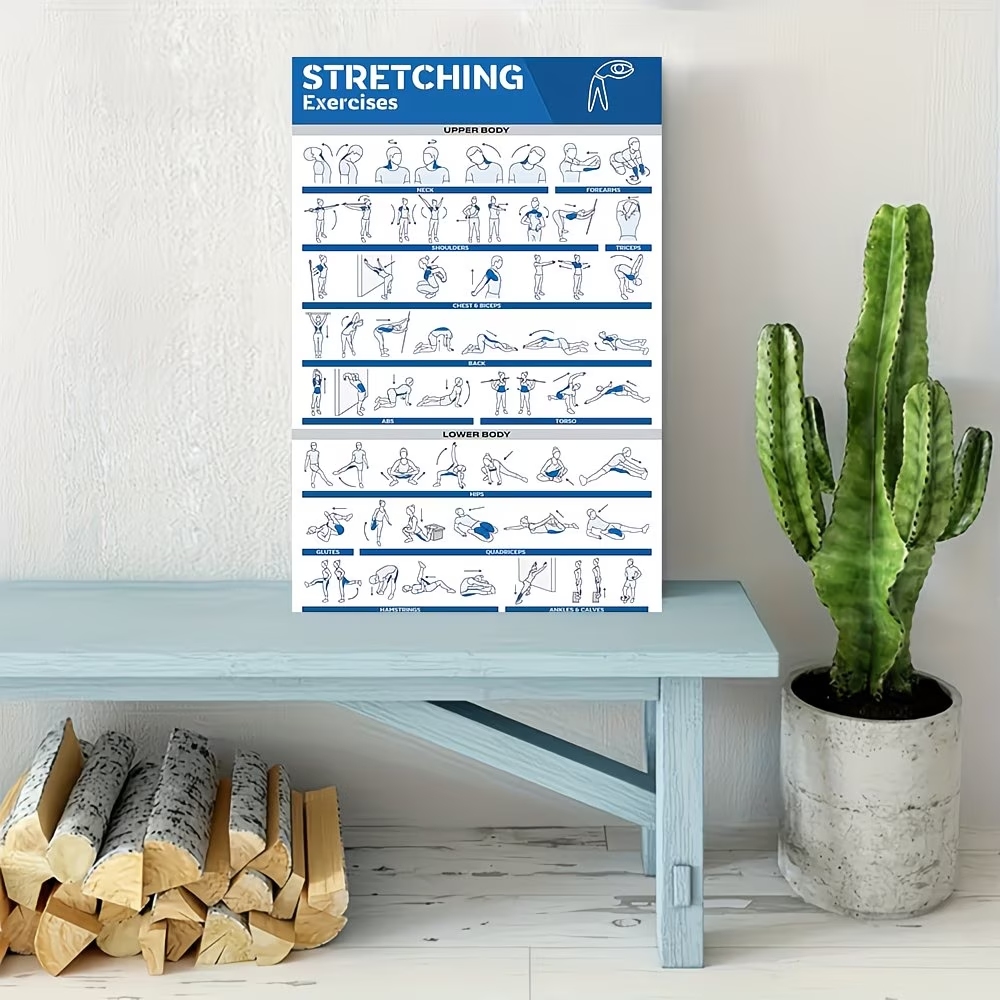 Modern Labeled Full-Body Stret - مراجعة Home Decor Reviews وسعره
