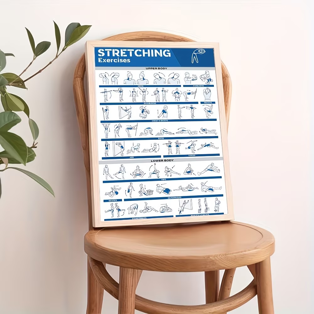 Modern Labeled Full-Body Stret - مراجعة Home Decor Reviews وسعره