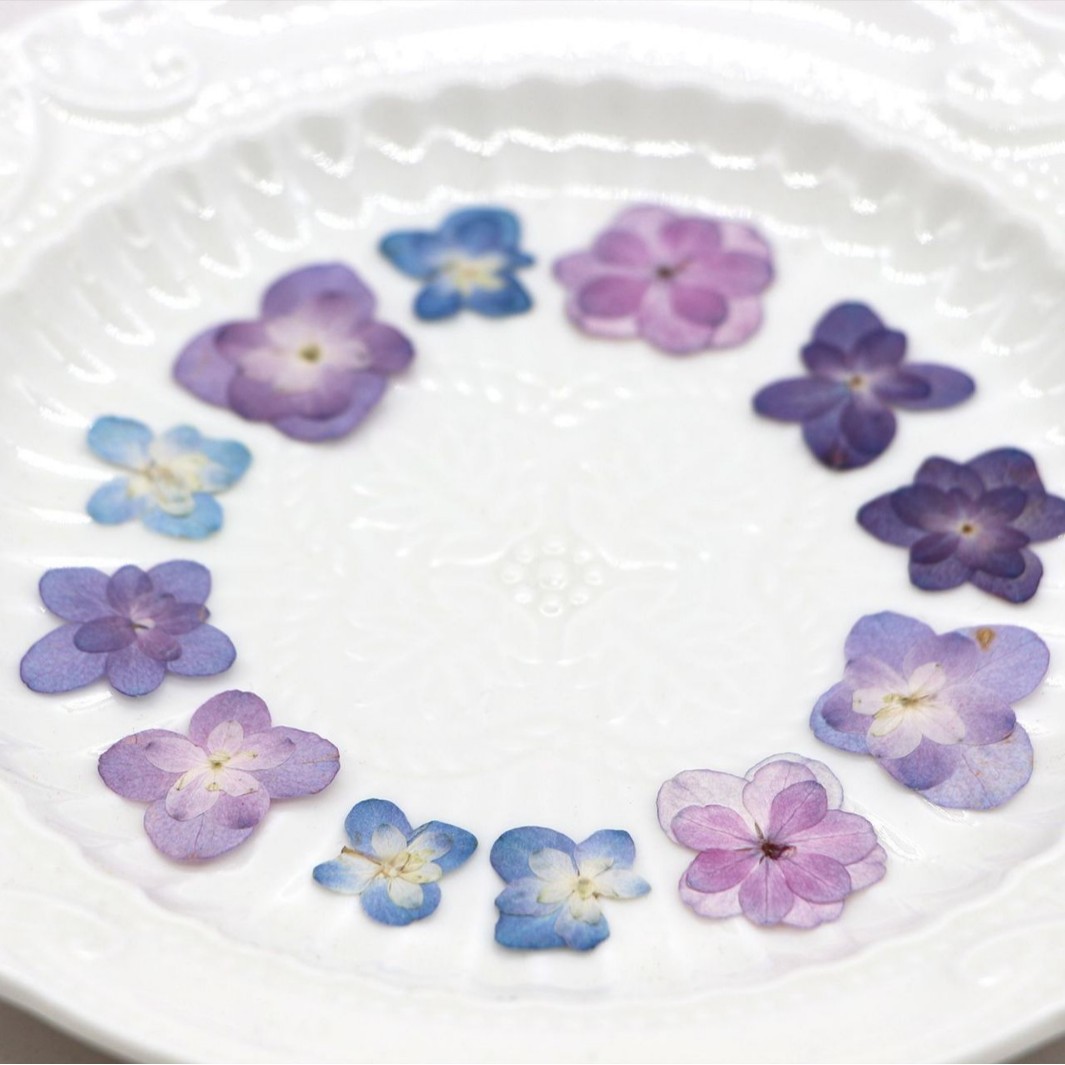 60Pcs Mini Double-Flowered Hyd - مراجعة Pressed Flower Frame وسعره