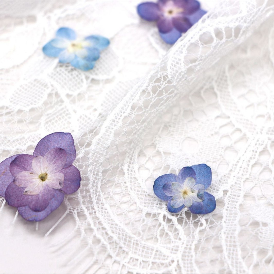 60Pcs Mini Double-Flowered Hyd - مراجعة Pressed Flower Frame وسعره